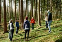 BreathWalk Sachsenwald April